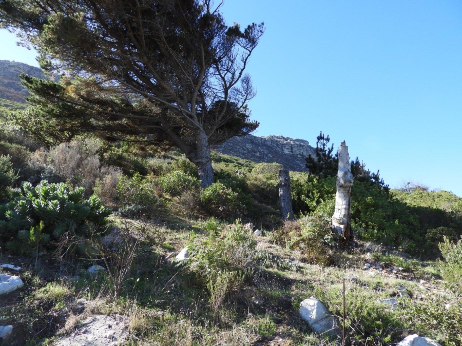 0 Bedroom Property for Sale in Clovelly Western Cape